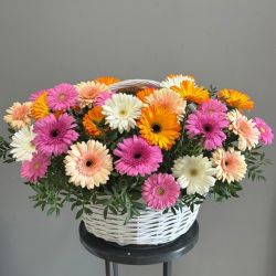 Композиция 019