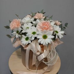 Композиция 003