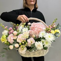 Композиция 037