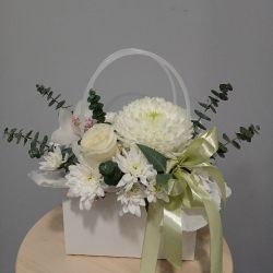 Композиция 013